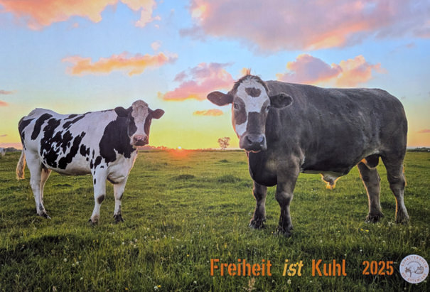 Andrea Weihe - 30 Jahre Physio-Weihe Am Schmäling in Fischbeck