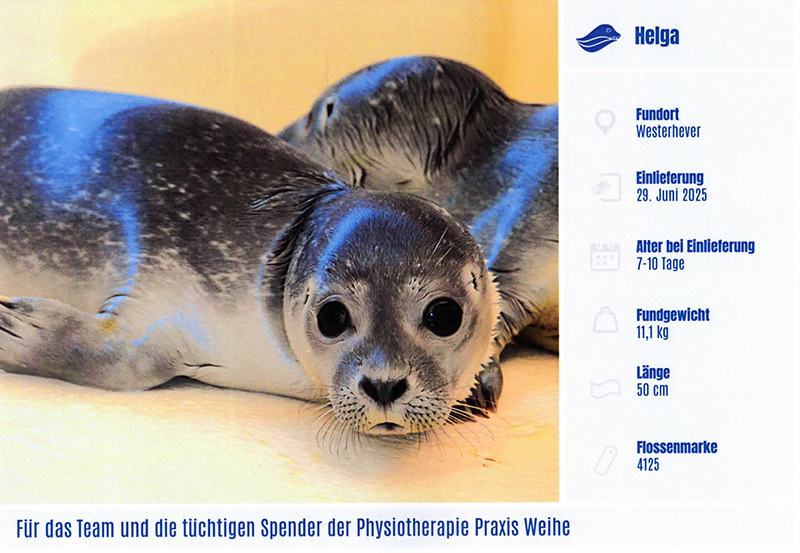 Andrea Weihe - 30 Jahre Physio-Weihe Am Schmäling in Fischbeck